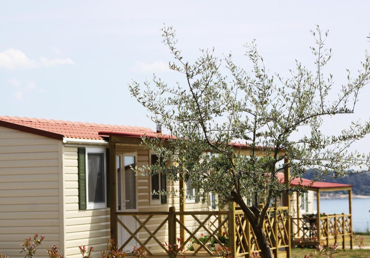 Aminess Sirena - Holiday Homes Classic Novigrad  Номер фото